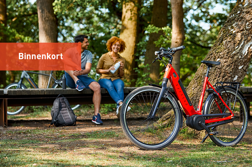 monitor bike